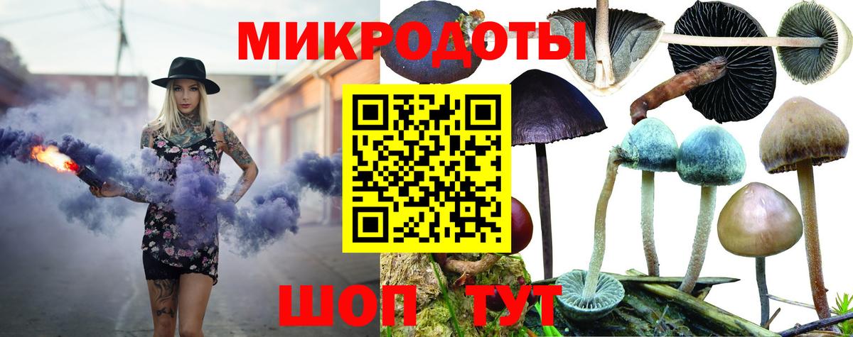 Галлюциногенные грибы мухоморы Владивосток